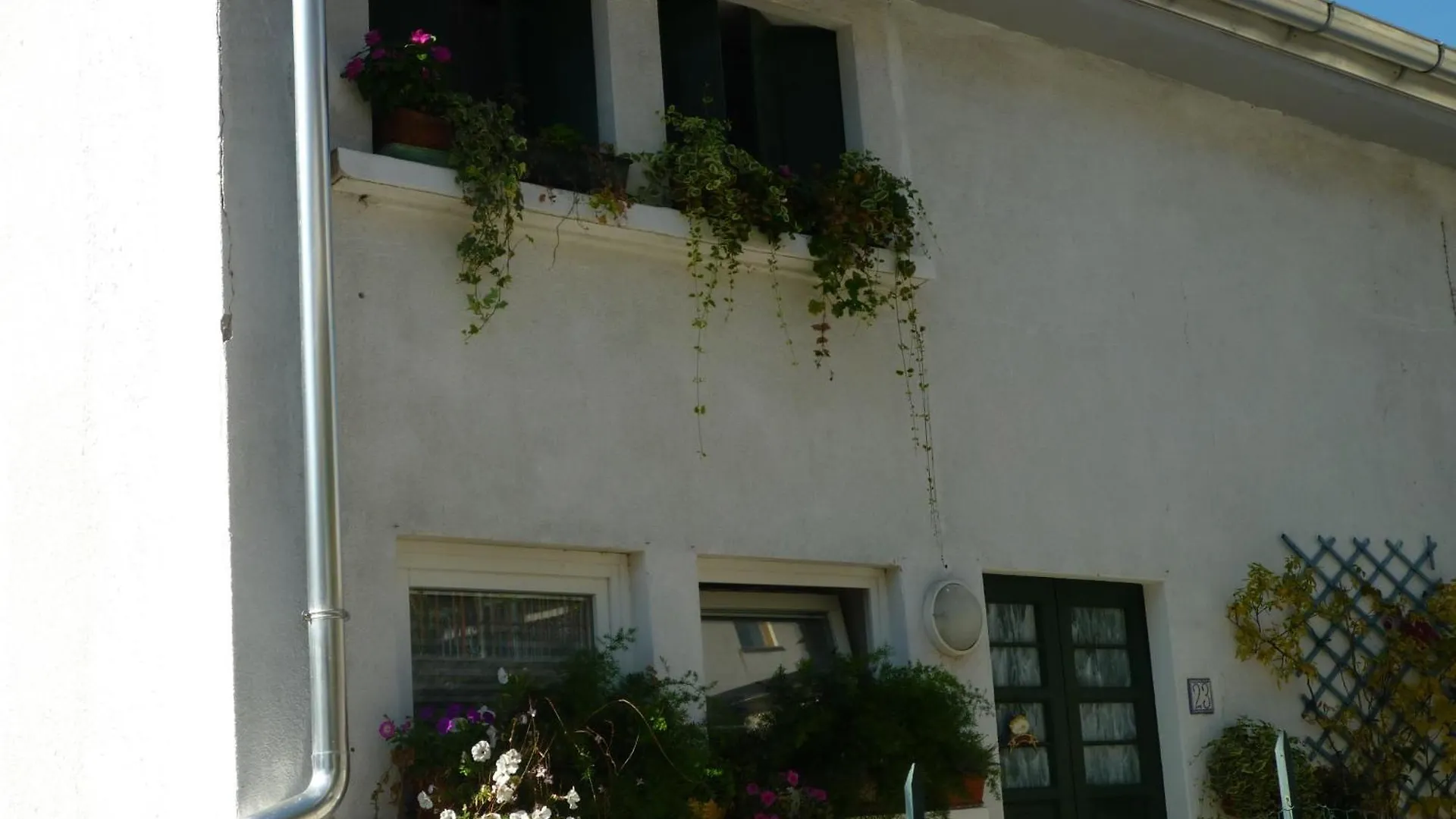 B&B Cappuccini 스키오